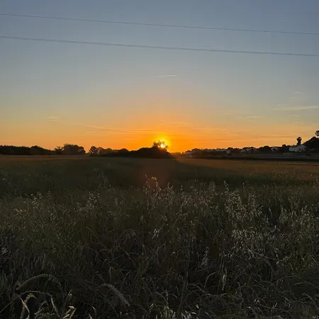 Vinicola Villa Santa Cruz (Madeira)