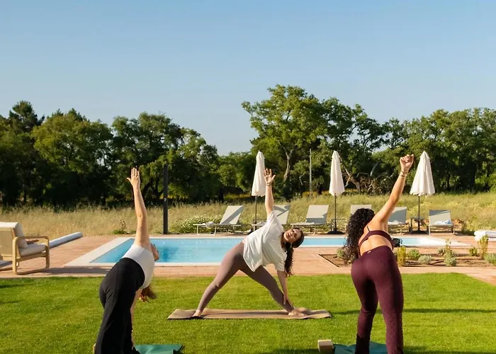 Willa Vinicola Santa Cruz (Madeira)