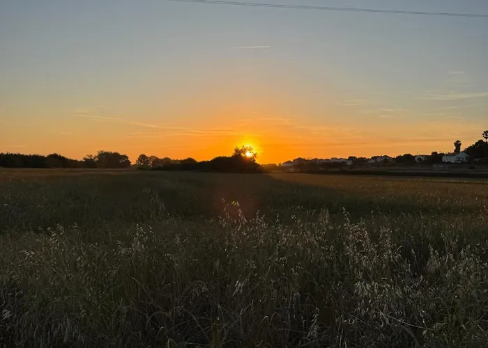 Vinicola Willa Santa Cruz (Madeira)